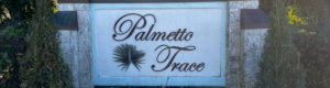Palmetto Trace