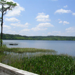 Lake Front Real Estate