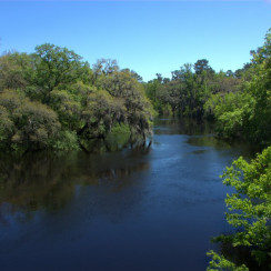 River Front Real Estate